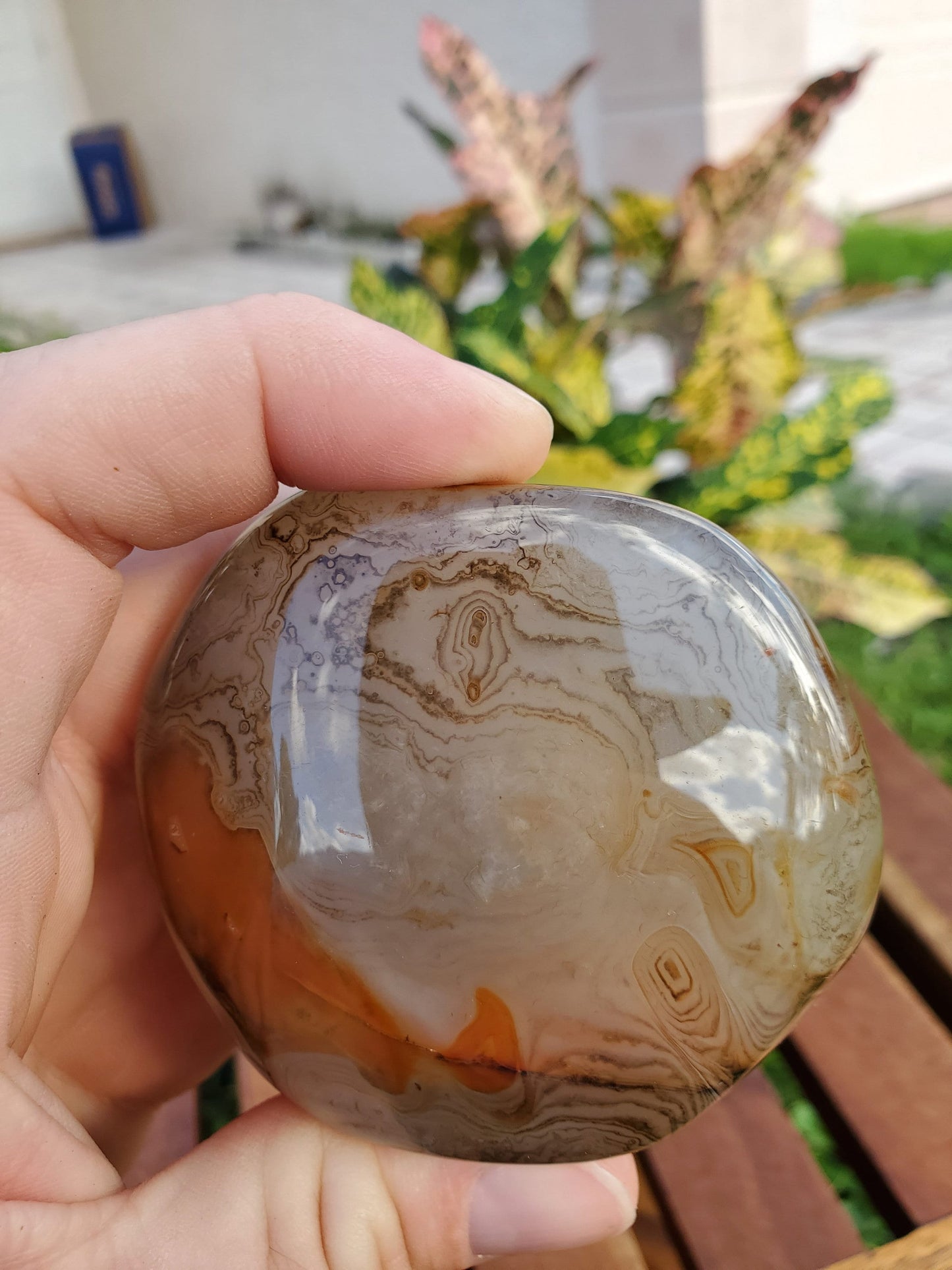 Silk Lace Agate Palm Stone 9.56 oz Natural Stone