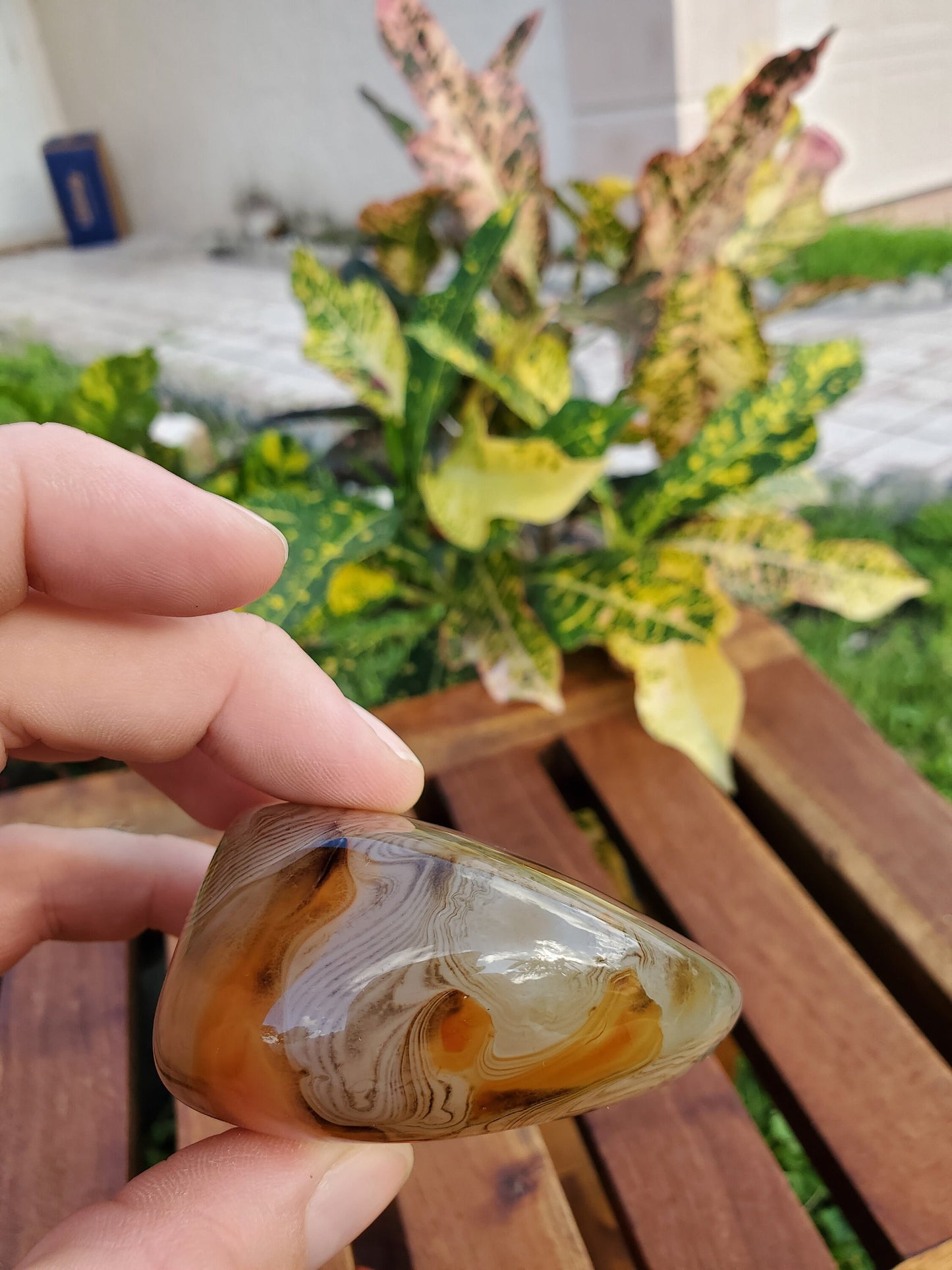 Silk Lace Agate Palm Stone 9.56 oz Natural Stone