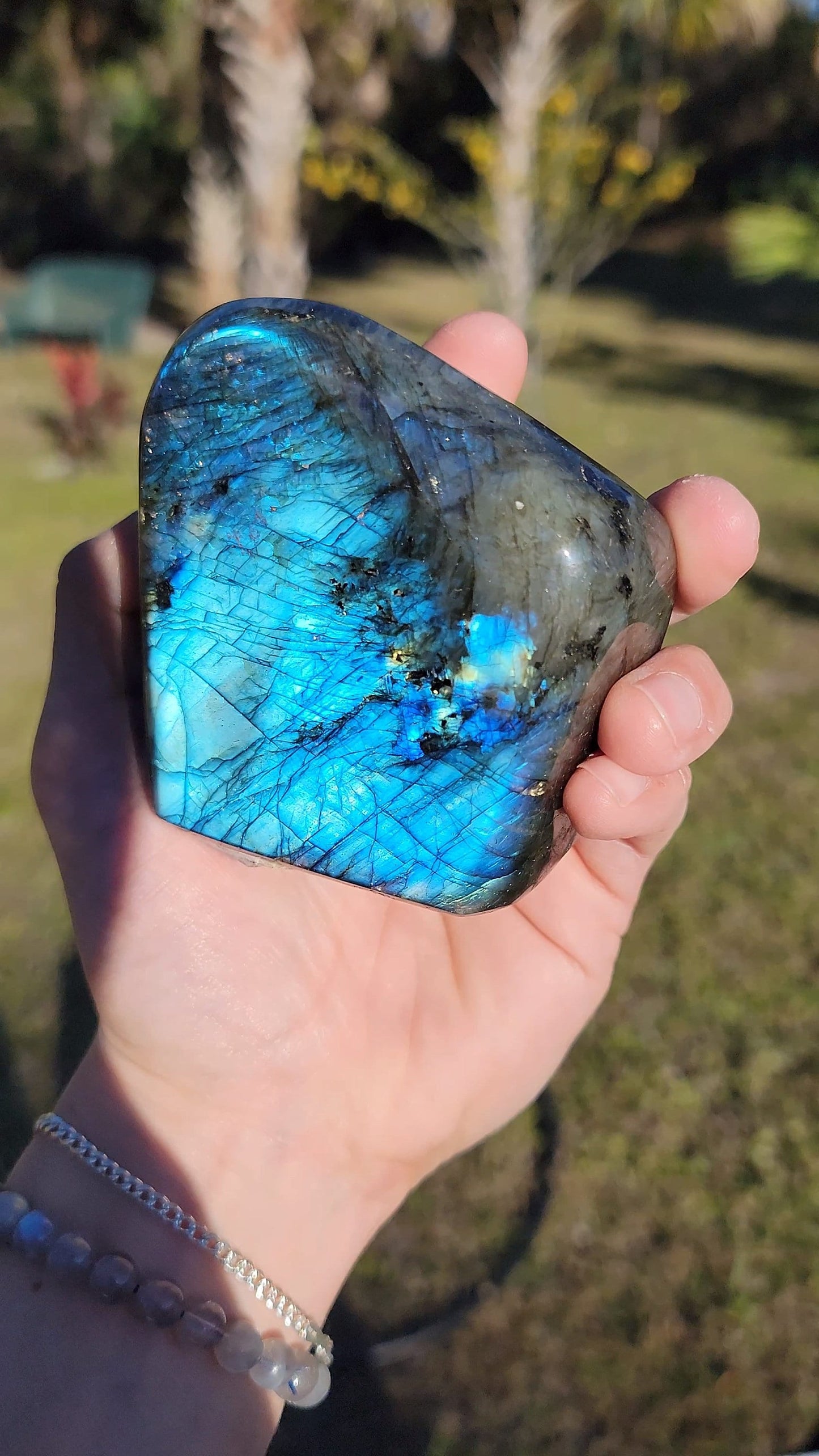 Stunning Blue Flash Labradorite Freeform 21 oz Natural Stone