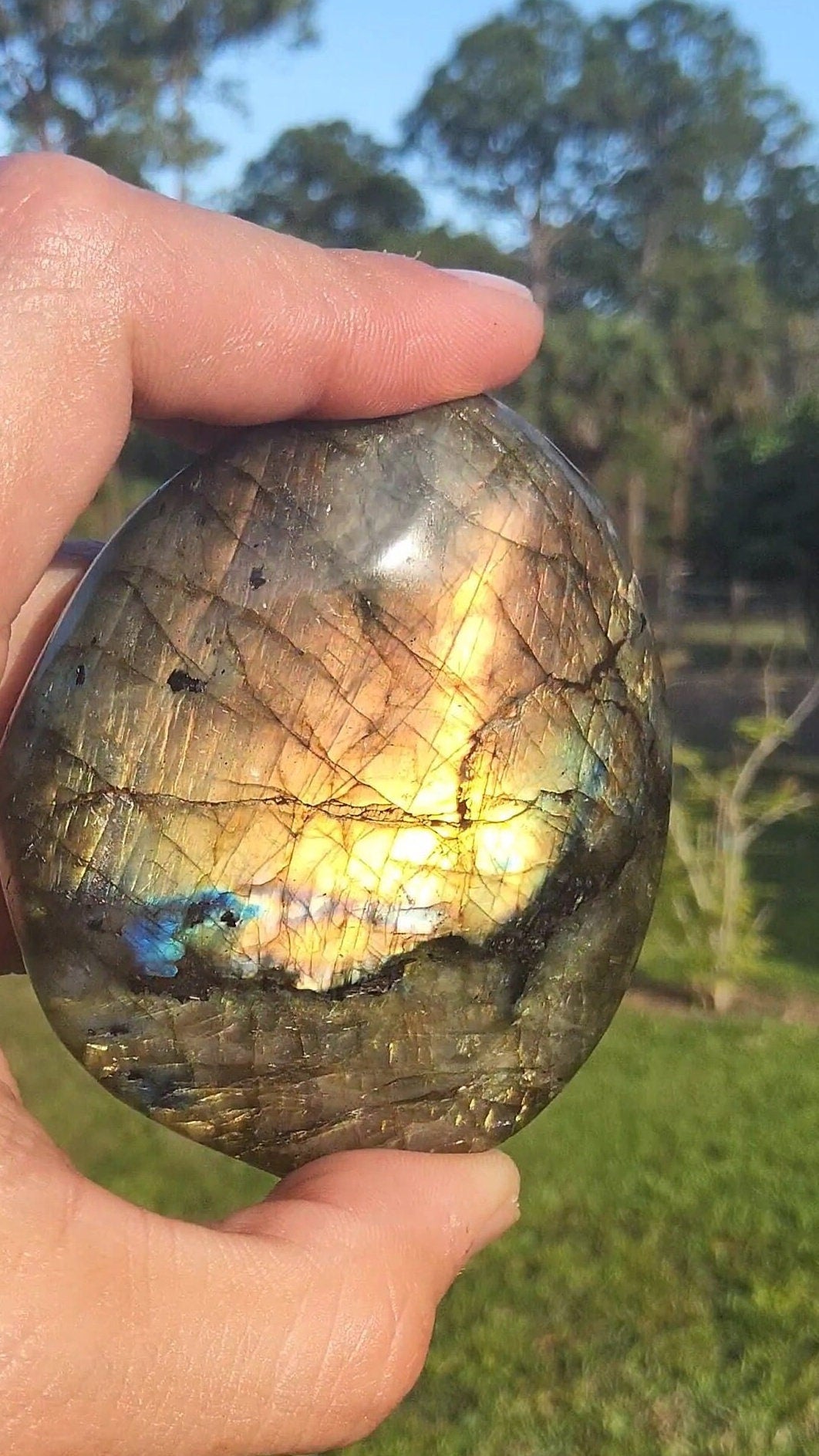 Labradorite Palm Stone 6.31 oz Natural Stone