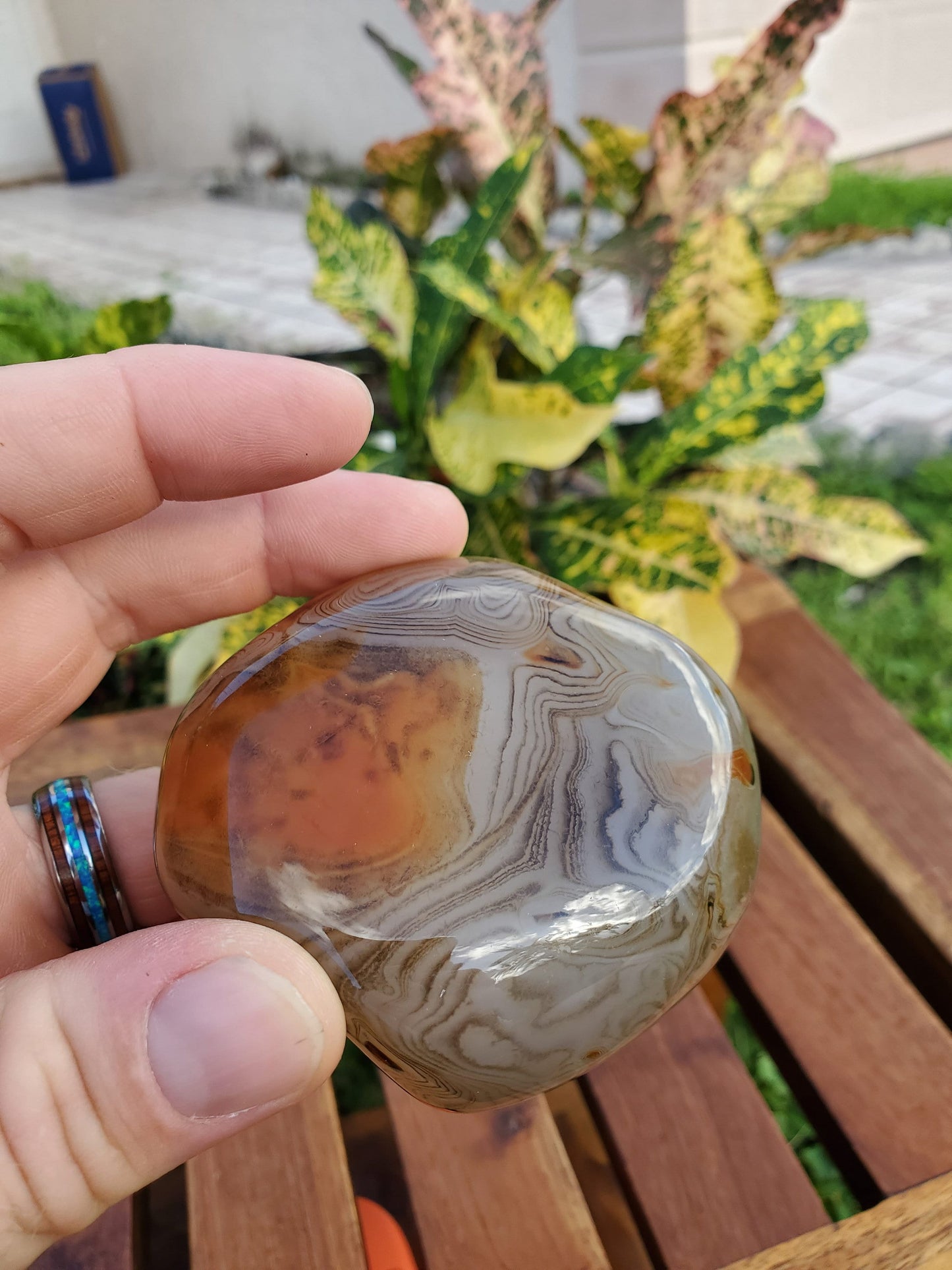 Silk Lace Agate Palm Stone 9.56 oz Natural Stone