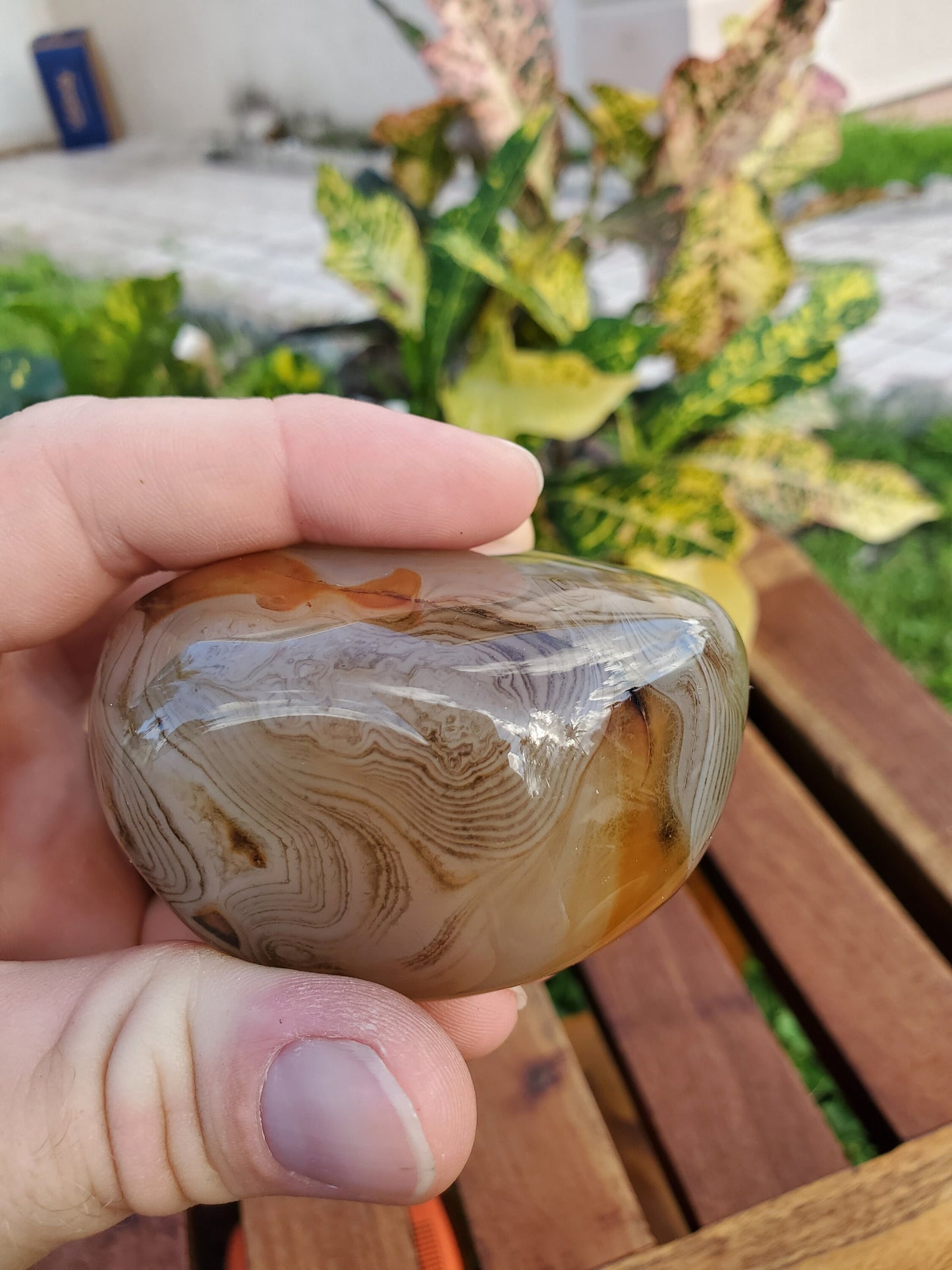 Silk Lace Agate Palm Stone 9.56 oz Natural Stone