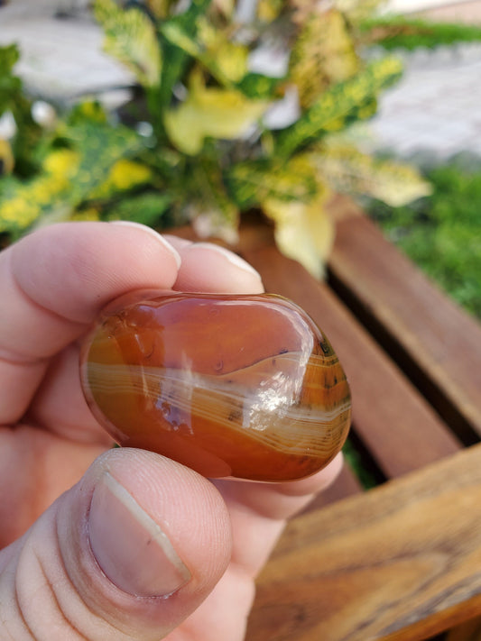 Silk Lace Agate Palm Stone 2.01 oz Natural Stone