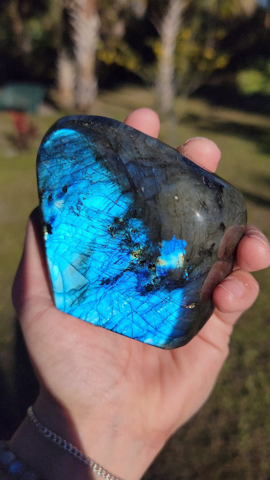 Stunning Blue Flash Labradorite Freeform 21 oz Natural Stone