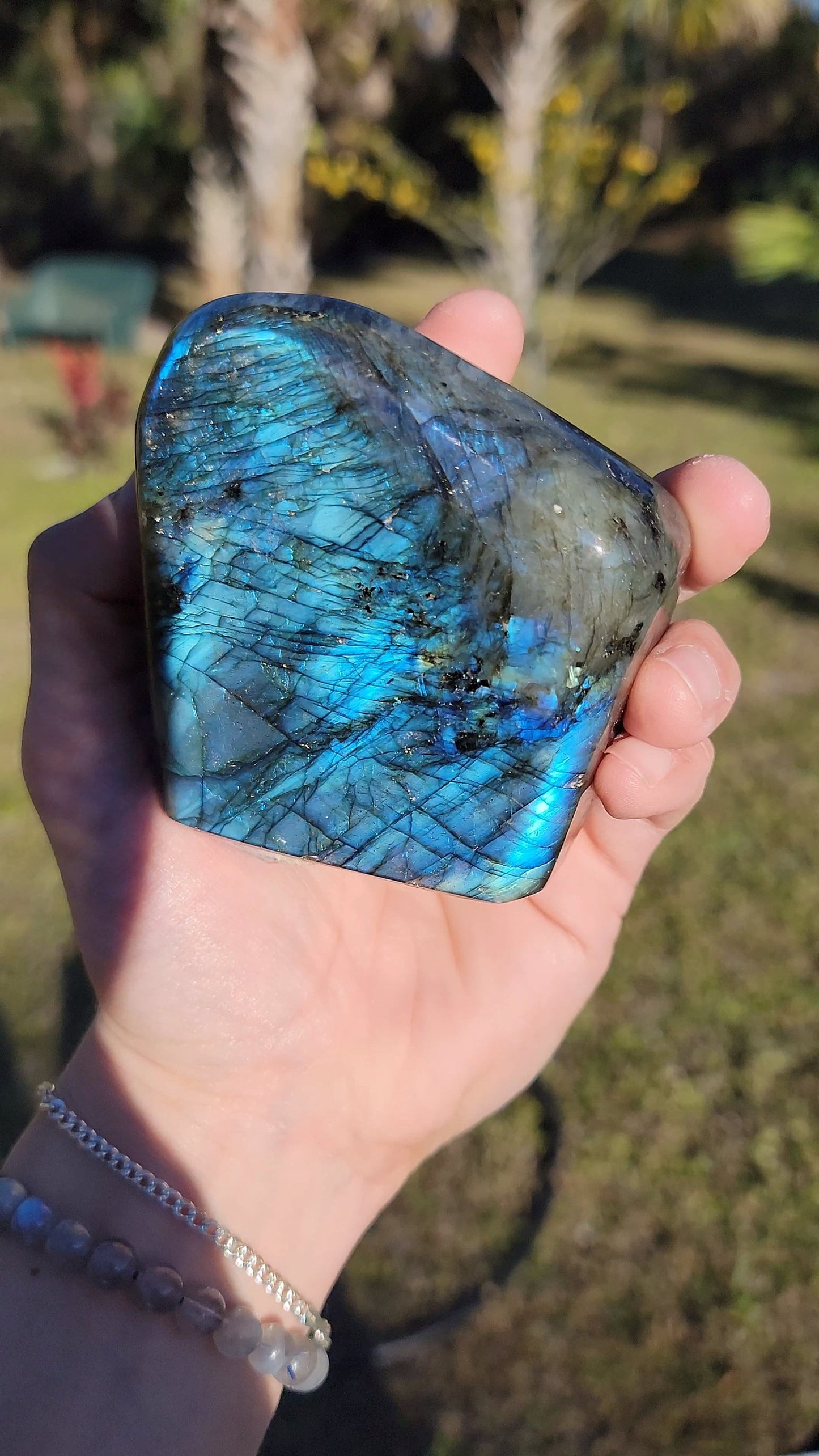 Stunning Blue Flash Labradorite Freeform 21 oz Natural Stone