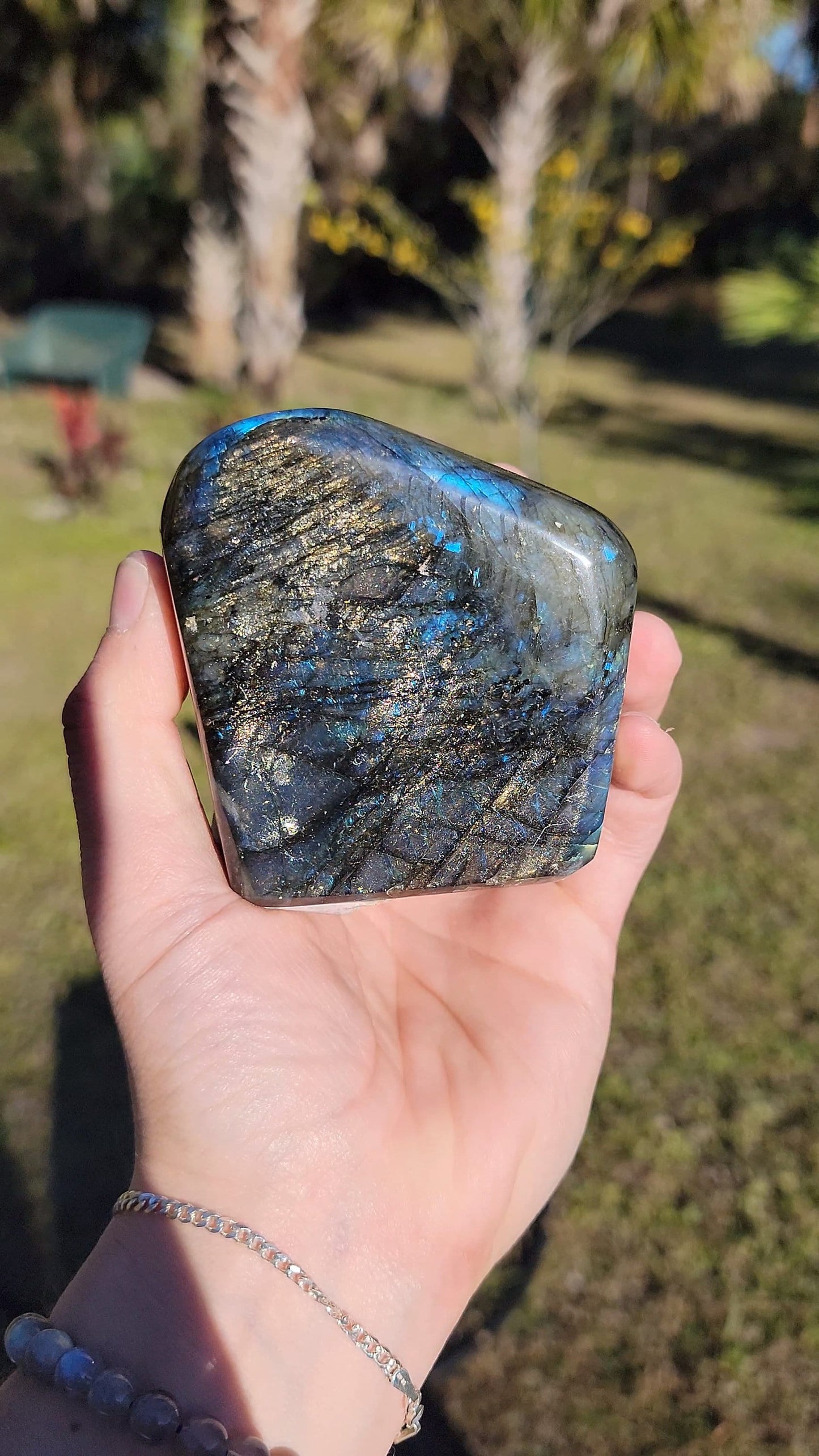 Stunning Blue Flash Labradorite Freeform 21 oz Natural Stone