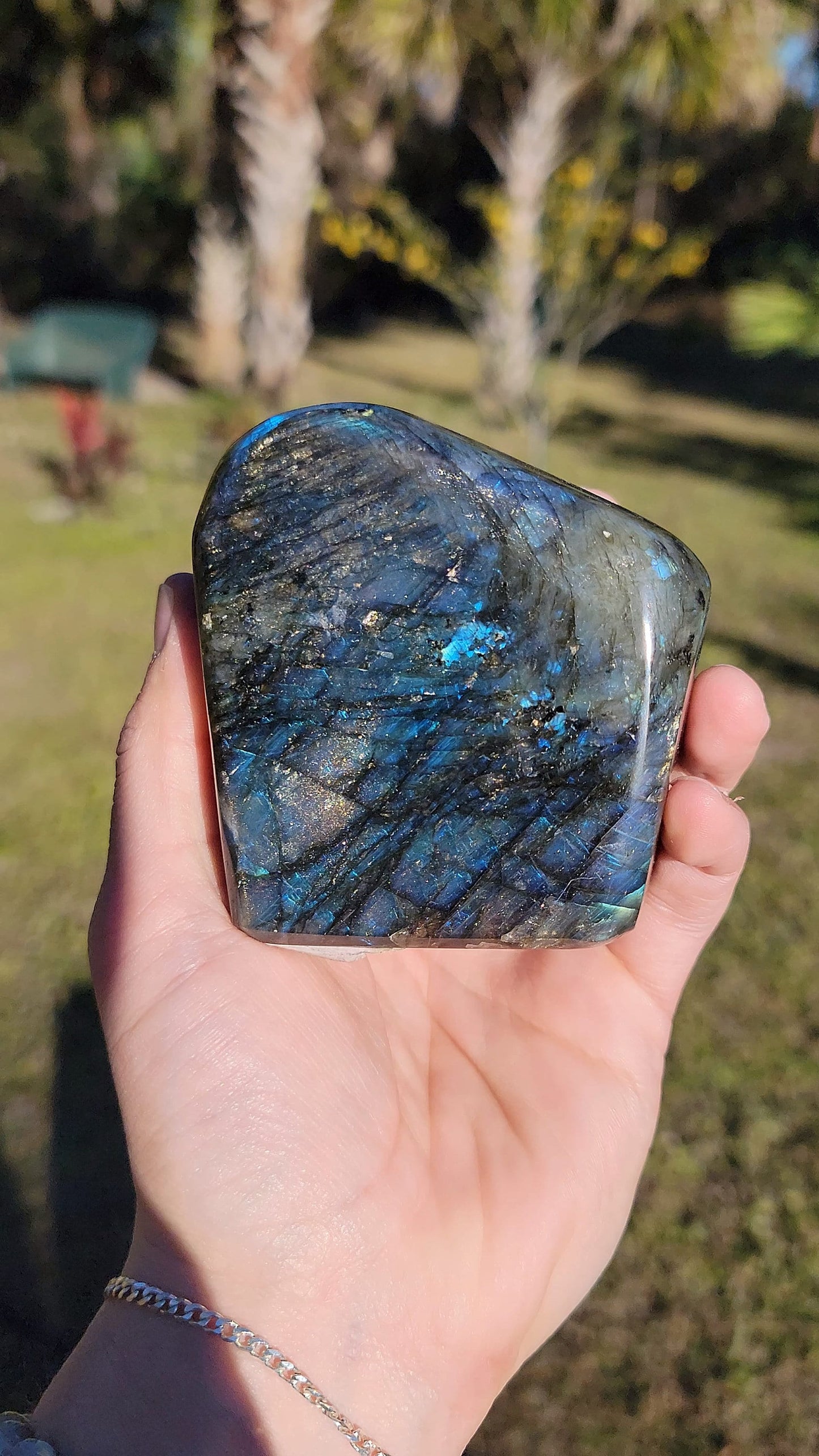 Stunning Blue Flash Labradorite Freeform 21 oz Natural Stone