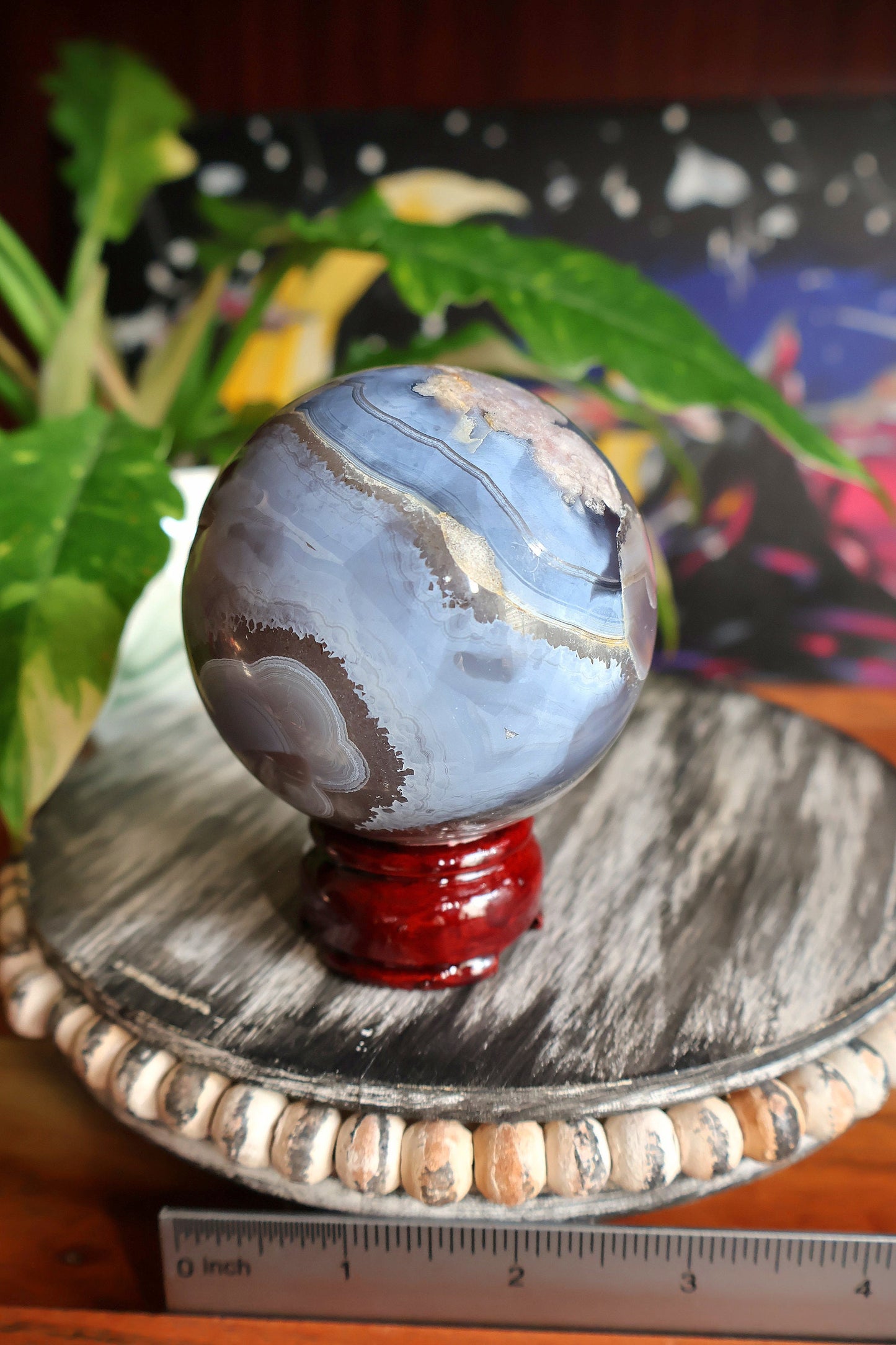 Black Flower Agate Crystal Sphere 19.5 oz Natural Stone