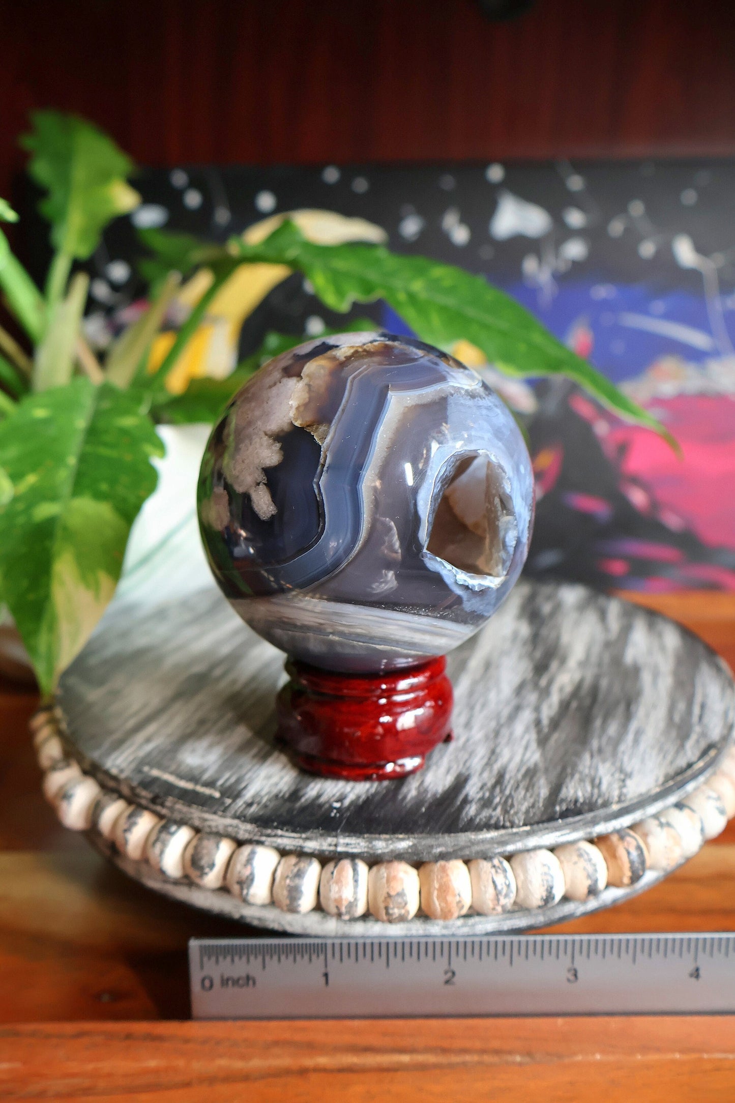 Black Flower Agate Crystal Sphere 19.5 oz Natural Stone